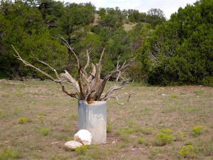 21-Vase, steel and wood, 2012